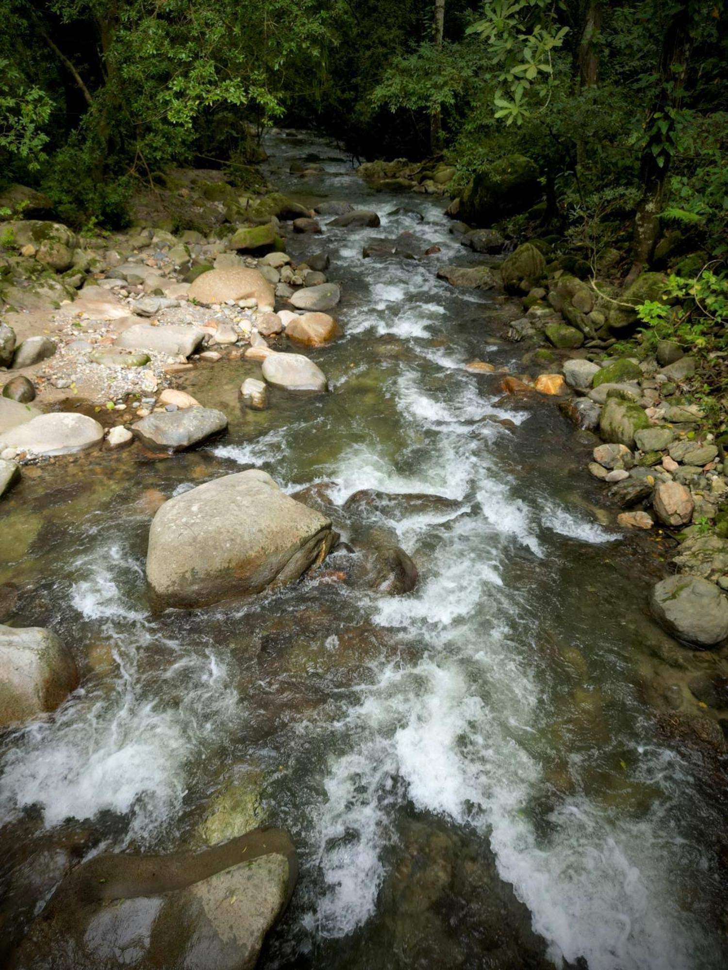 Las Cabanas Del Rio Minca Bagian luar foto