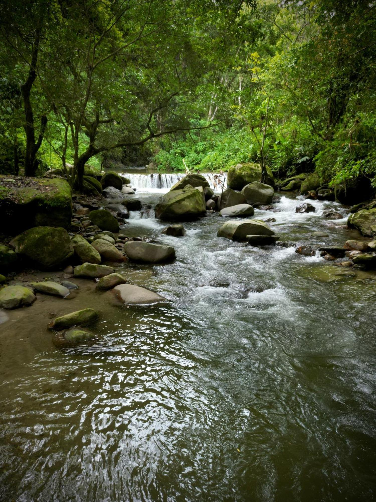 Las Cabanas Del Rio Minca Bagian luar foto